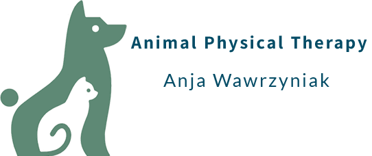 Animal Physical Therapy Anja Wawrzniak